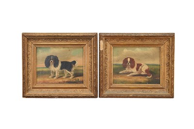Lot 1344 - Pair of charming Victorian Naïve School oils on canvas - portraits of Spaniels, both 20cm x 25cm in gilt frames