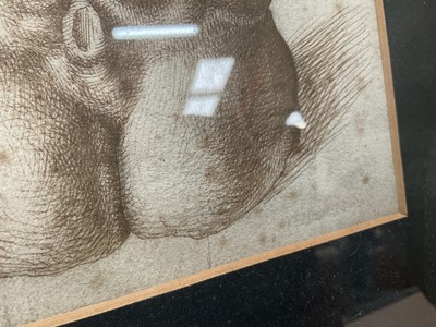 Lot 1070 - *Francis Plummer (1930-2019) carved stone sculpture - Male Torso, 60cm high, one of only two sculptures ever produced by Plummer. Together with a related pen and ink study, in glazed frame