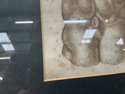 Lot 1070 - *Francis Plummer (1930-2019) carved stone sculpture - Male Torso, 60cm high, one of only two sculptures ever produced by Plummer. Together with a related pen and ink study, in glazed frame