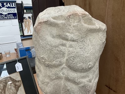 Lot 1070 - *Francis Plummer (1930-2019) carved stone sculpture - Male Torso, 60cm high, one of only two sculptures ever produced by Plummer. Together with a related pen and ink study, in glazed frame