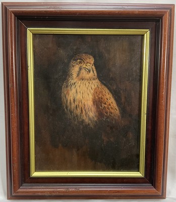Lot 138 - English School oil on board, Kestrel, 23cm x 18cm, glazed frame