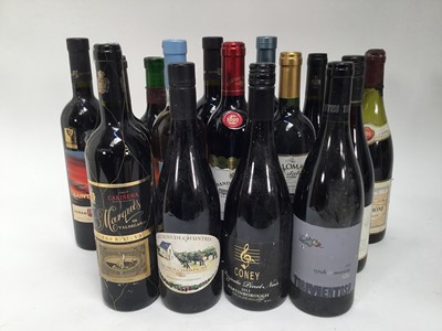 Lot 64 - Fifteen bottles, New World reds, French, Spanish and others