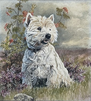 Lot 4 - Jo Campion, watercolour of ‘Muffin’ the West Highland Terrier, pencil signed, dated ‘85, framed and glazed