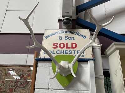 Lot 164 - Pair of painted mounted antlers