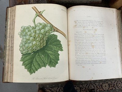 Lot 663 - Transactions of the Horticultural Society of London