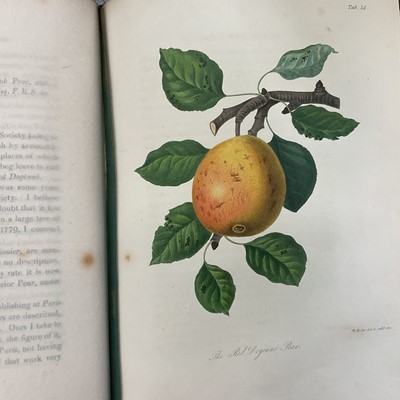 Lot 663 - Transactions of the Horticultural Society of London