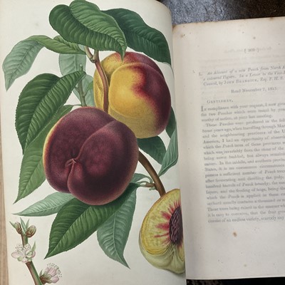 Lot 663 - Transactions of the Horticultural Society of London
