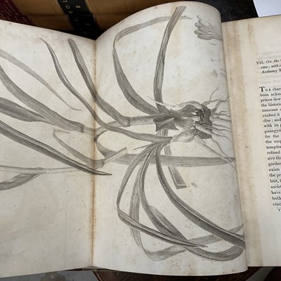 Lot 663 - Transactions of the Horticultural Society of London