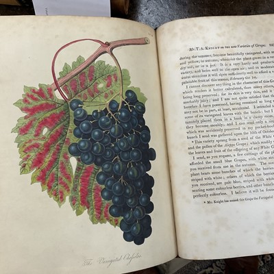 Lot 663 - Transactions of the Horticultural Society of London