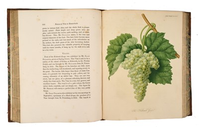 Lot Transactions of the Horticultural Society of London
