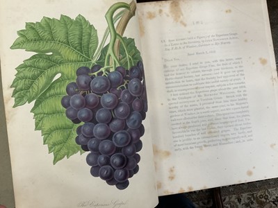 Lot 663 - Transactions of the Horticultural Society of London