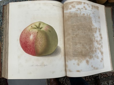 Lot 663 - Transactions of the Horticultural Society of London