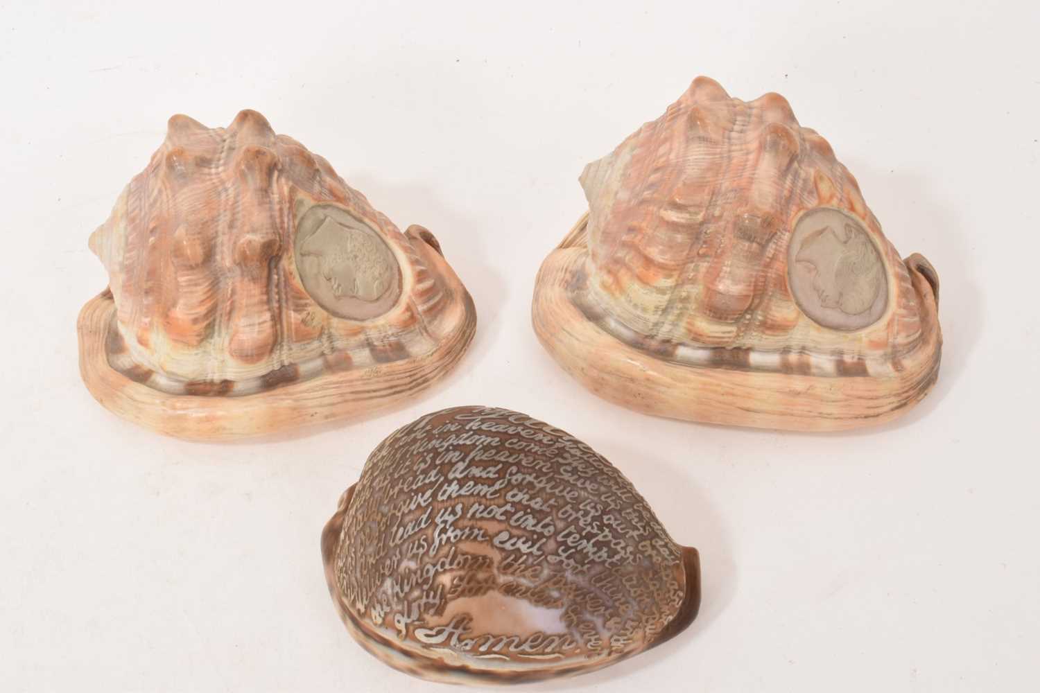 Lot Three Victorian carved conch shells