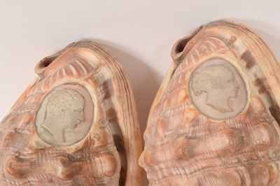 Lot Three Victorian carved conch shells