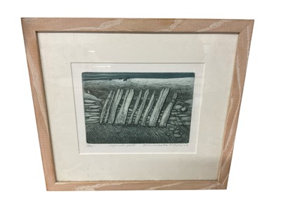 Lot 854 - Elizabeth Morris (contemporary) etching, Island Gate, 14 x 20cm, glazed frame