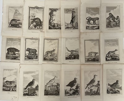 Lot 28 - De Buffon Natural History 1812, thirty plates,21.5cm x 13.5cm, unframed