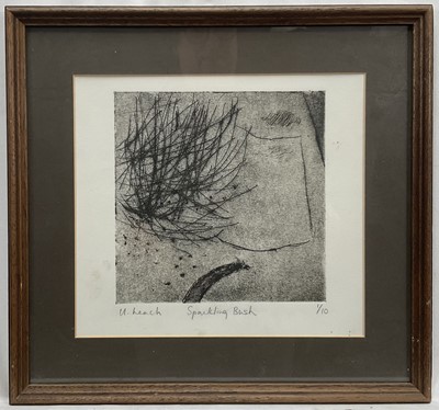 Lot 108 - 20th century signed print, ‘Sparkling Bush’, signed and numbered 1/10, 17.5cm x 17.5cm, glazed frame