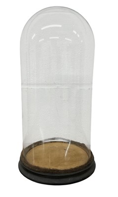Lot 915 - Antique glass dome on ebonised base 18.5cm circumference, total height 36cm