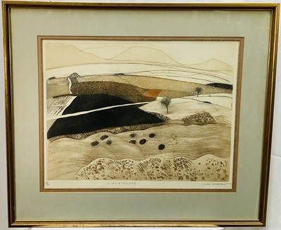 Lot 179 - Joan Williams, contemporary, signed limited edition coloured etching, 'Lanzarote', dated 1975, 25/50, 46cm x 58cm, in glazed frame