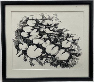 Lot 11 - Margot Noyes (b. 1939) charcoal - lilypads and two other works