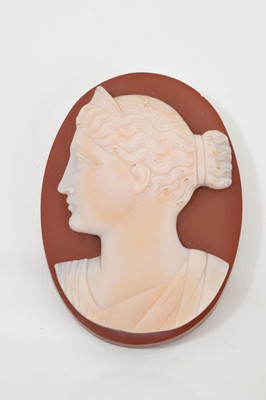 Lot 431 - 19th century carved sardonyx cameo