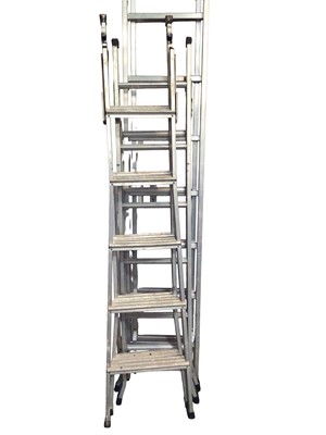 Lot 266 - Three extendable ladders