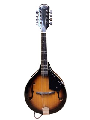 Lot 2213 - Washburn mandolin in soft case
