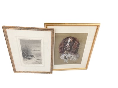 Lot 998 - Archibald Thorburn signed print, together with a chalk portrait of a springer spaniel, (2).