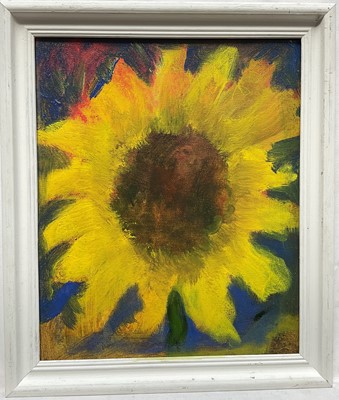 Lot 106 - Peter McCarthy (contemporary) three works - Sunflower, 28 x 24cm, two others