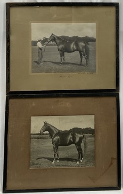Lot 951 - Frank Griggs, two 1920s black and white photographs of racehorses, titled 'Black Gauntlet' and 'Buen Ojo', both signed, in glazed frames, 32cm x 40cm overall