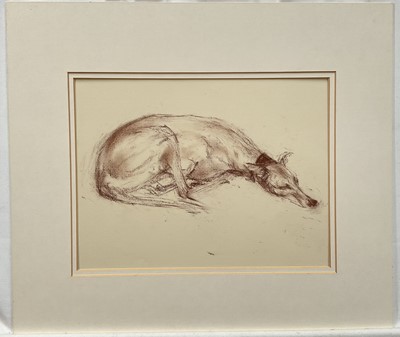 Lot 1124 - *Jonathan Trowell (1938-2013) chalk study on paper - Sleeping greyhound, studio stamp verso, 22cm x 30cm, with mount, unframed