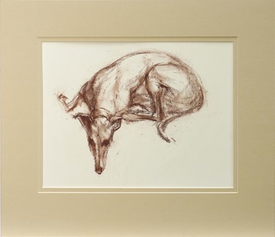 Lot 1125 - *Jonathan Trowell (1938-2013) chalk study on paper - Resting greyhound, studio stamp verso, 22cm x 30cm, with mount, unframed