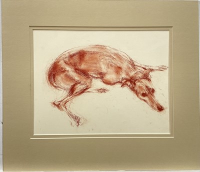 Lot 1126 - *Jonathan Trowell (1938-2013) red chalk study on paper - Resting greyhound, studio stamp verso, 22cm x 30cm, with mount, unframed