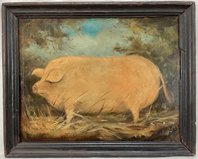 Lot 1137 - English School, oil on panel - A Prize Pig, 17cm x 22cm, framed