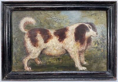 Lot 1138 - English School, oil on panel - A Characterful Dog , 17cm x 26cm, framed