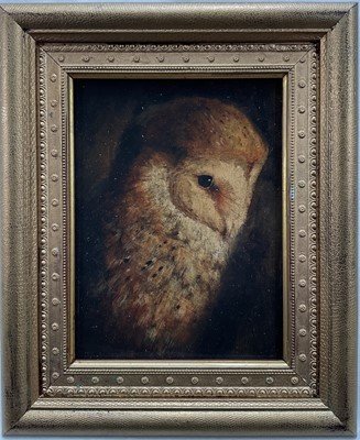Lot 77 - English School oil on board, Portrait of a Barn Owl