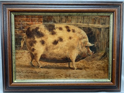 Lot 75 - English School oil on board, A Prize Pig in a sty