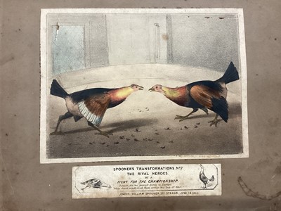 Lot 1268 - Napoleon and Wellington, depicted in a cockfight, a rare 19th century coloured optical toy lithograph, by William Spooner. “Spooner’s Transformations No. 7, The Rival Heroes or a Fight For the C...