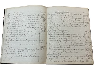 Lot 1416 - Early to mid 19th century handwritten book, noting the habits of Rattlesnakes, Crocodiles, Spiders, Sugar Cane, Corn and other subjects. Marble and leather-bound.