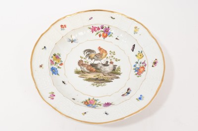 Lot 24 - An early to mid 19th century Meissen shallow dish or soup plate, well painted decoration with a cockerel and two chickens, the cavetto with flower sprays and scattered flying insects, echoed to...