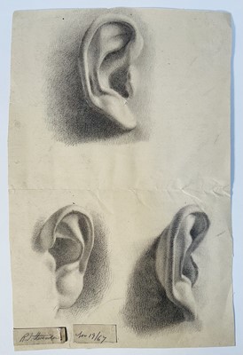 Lot 316 - 19th century graphite study of ears, signed to label and dated Nov 19th 1867. Unframed, 40-41.5cm x 26-27cm