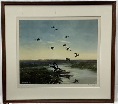 Lot 89 - Peter Scott (1809-1989) signed print - Mallard dropping in, blind stamped, pub. Arthur Ackermann, London, copyright in USA 1948, 38cm x 45cm, glazed frame