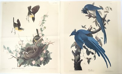 Lot 88 - Birds of America: after J.J. Audubon, two coloured prints by R. Havell, London 1830/32, 'Colombia Jay' and 'Yellow Breasted Chat', 49cm x 40cm, unframed, together with three other framed prints...