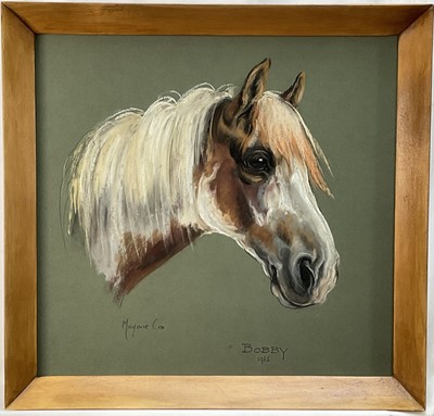 Lot 333 - Marjorie Cox (b.1959) pastel - horse's head, titled 'Bobby' and dated 1966, 43cm x 46cm, framed and glazed