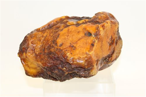 Raw baltic amber for sale Clearance