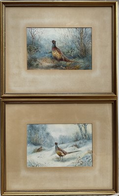 Lot 50 - Michael E. Morris (Royal Worcester artist), watercolour, Pair of Pheasant paintings, signed, 17.5cm x 27cm, in glazed frames (2)