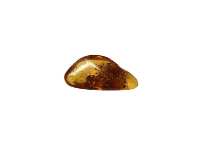 Lot 2456 - Amber fragment
