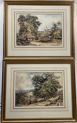 Lot 164 - 19th century, a pair of landscapes with animals in parkland, watercolour on paper. Overall including frame 43cm x 52cm (2)