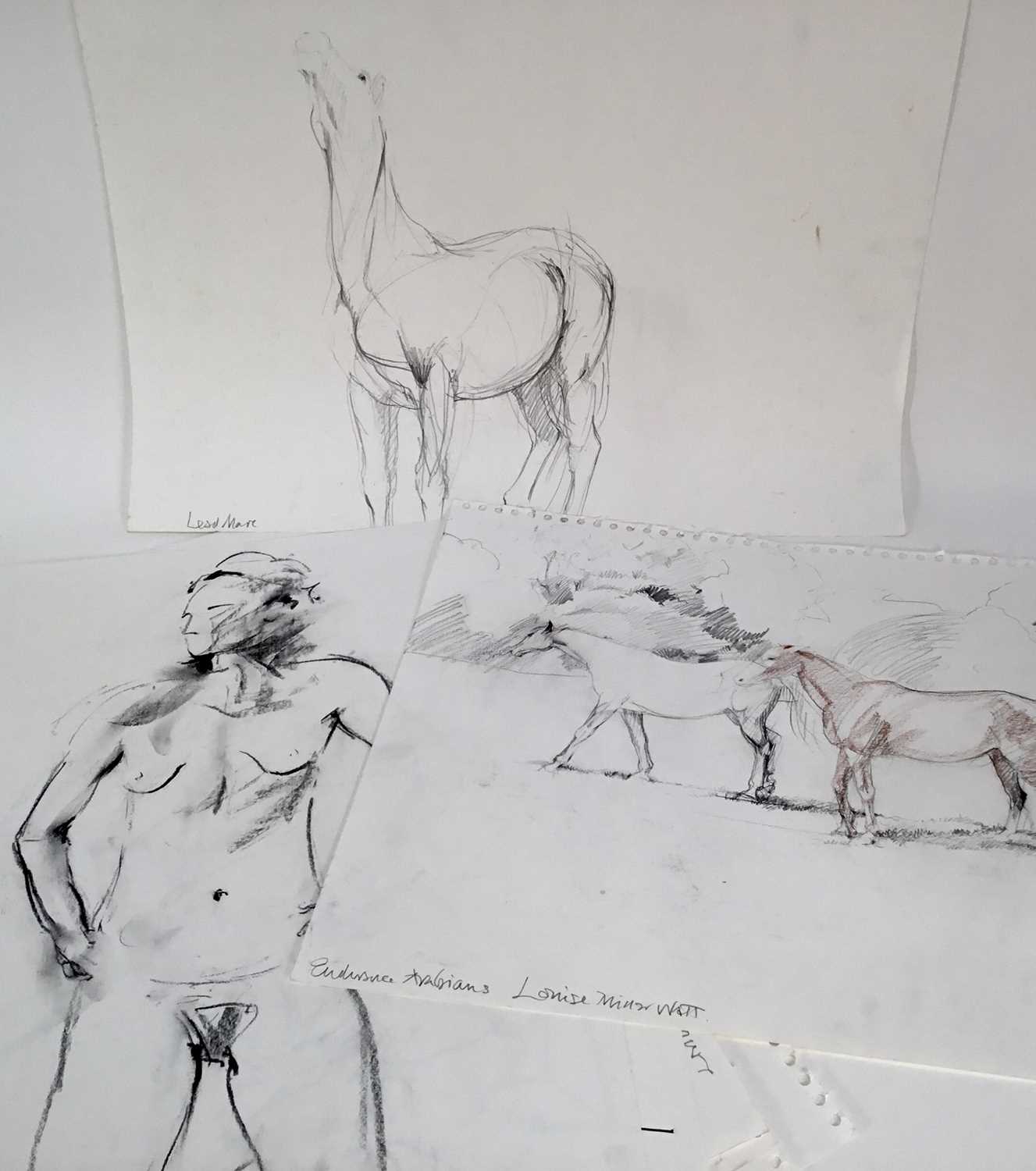 Lot 947 - *Louise Millar Watt (b.1963) group of sketches on paper, horses and figures