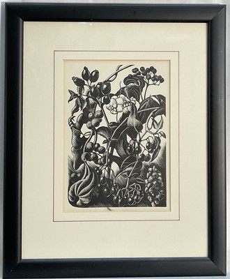 Lot 12 - Clare Leighton (1898-1989) woodcut, Berries, from her book Four Hedges c. 1935, 17.5cm x 12.5cm, glazed frame